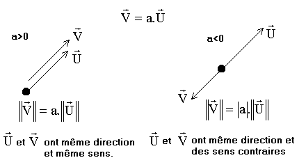Multiplication d'un vecteur par un scalaire